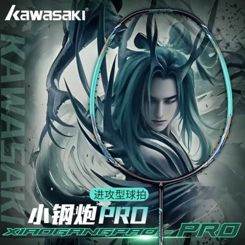 Kawasaki Cannon Pro