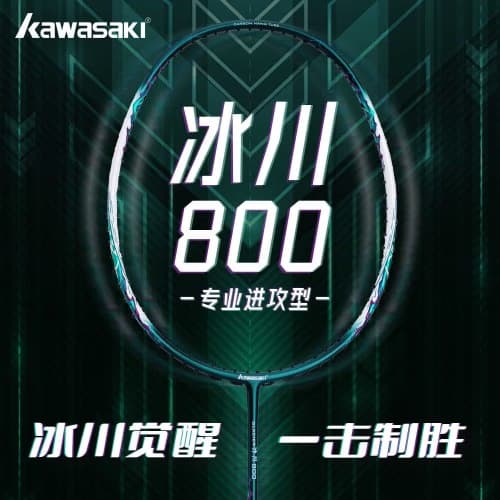 Kawasaki Glacier 800
